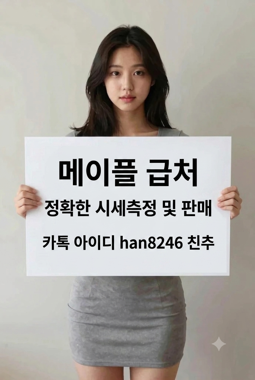 메이플 급처, 정확한 시세 측정을 하고 아이템 판매 하자!