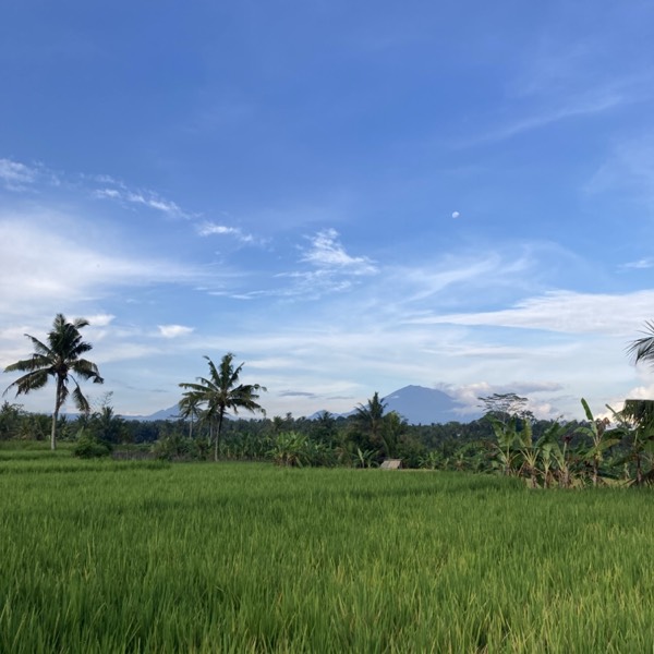 Ubud