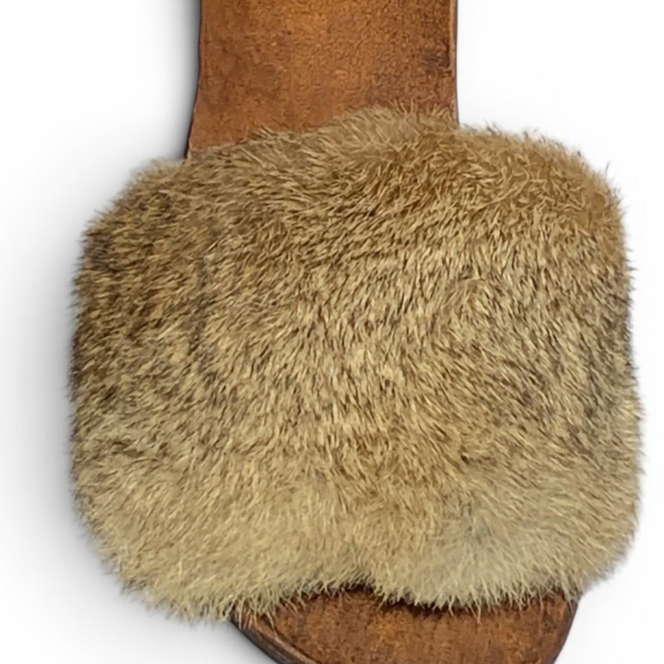 Slide 2.8 Rabbit fur - alternate view