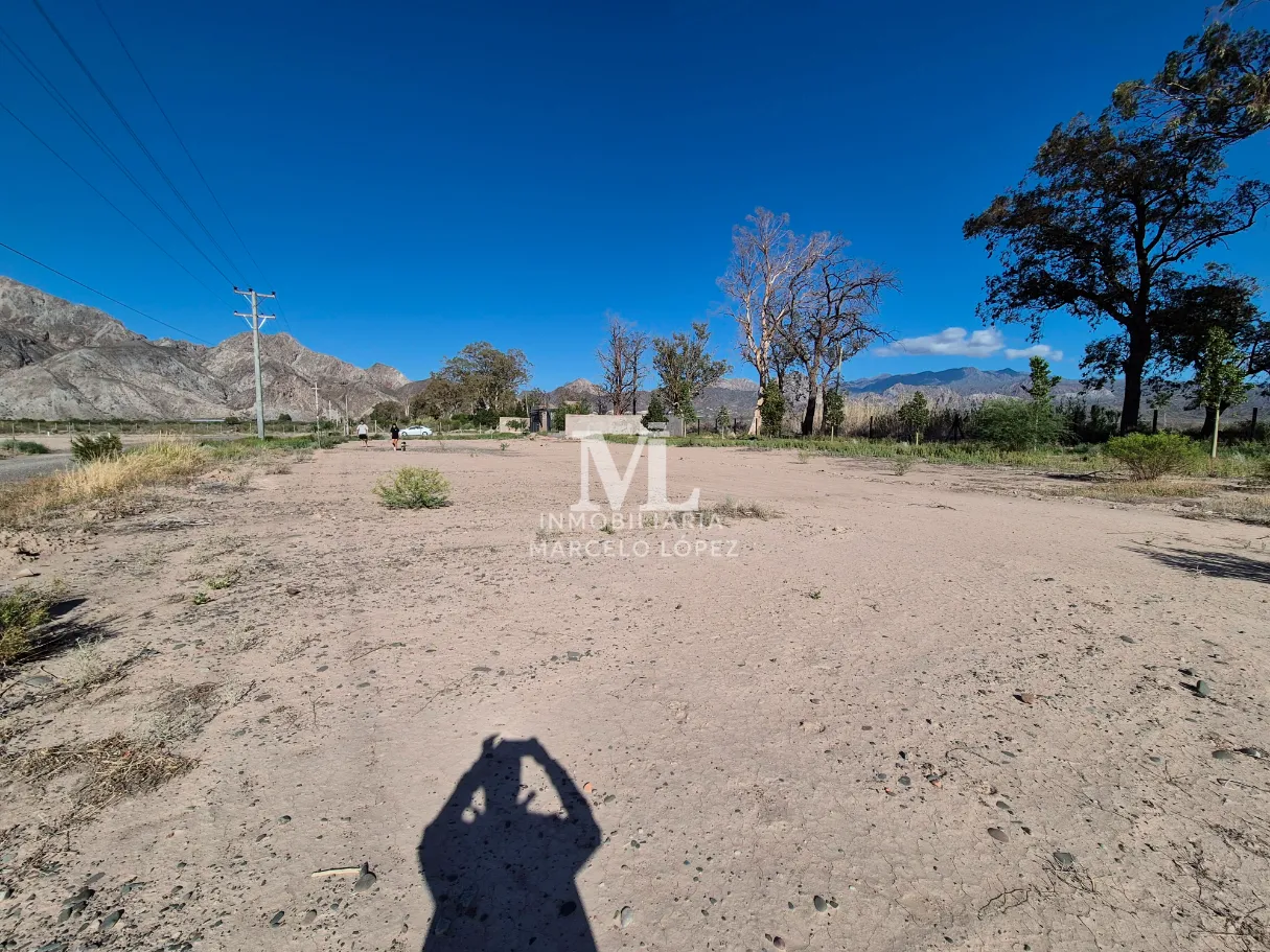 Terreno en venta en Tres Lagos - Foto 3