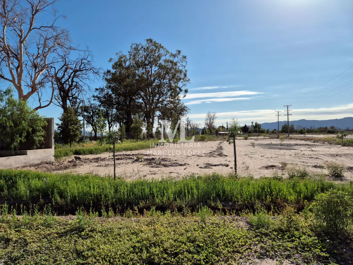 Terreno en venta en Tres Lagos - Foto 4