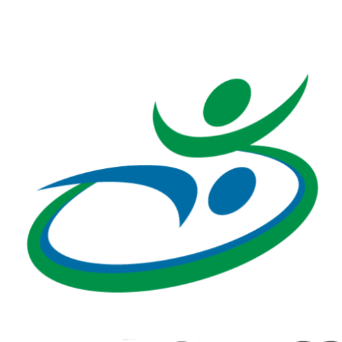 Sitio Web Oficial icon