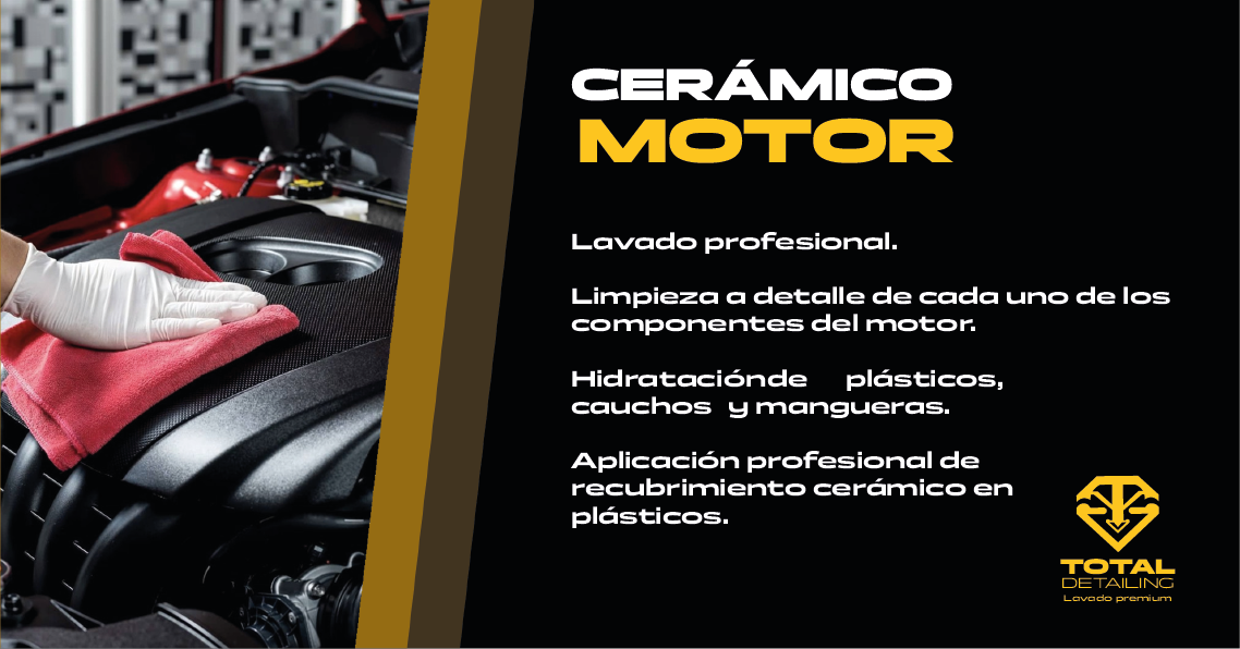 Servicio lavado Especializado en MOTOR
