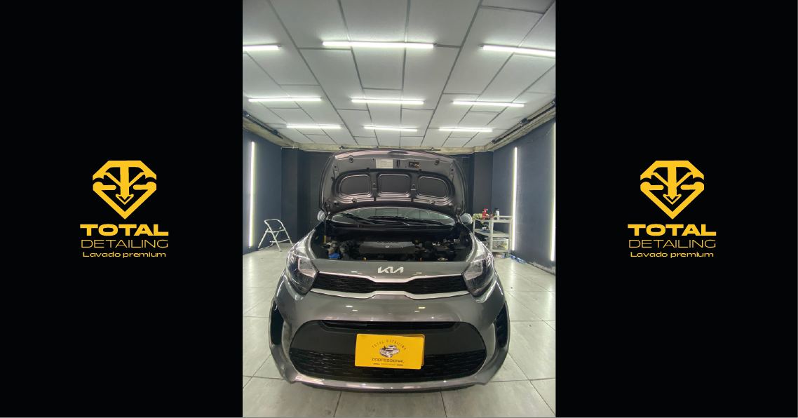 Servicio lavado Especializado en MOTOR