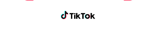 Tiktok  icon