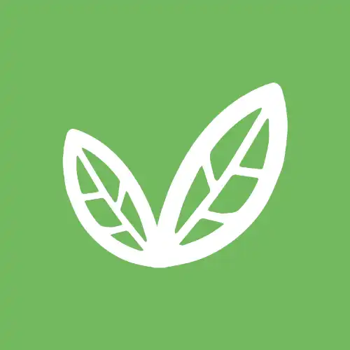 WEB icon