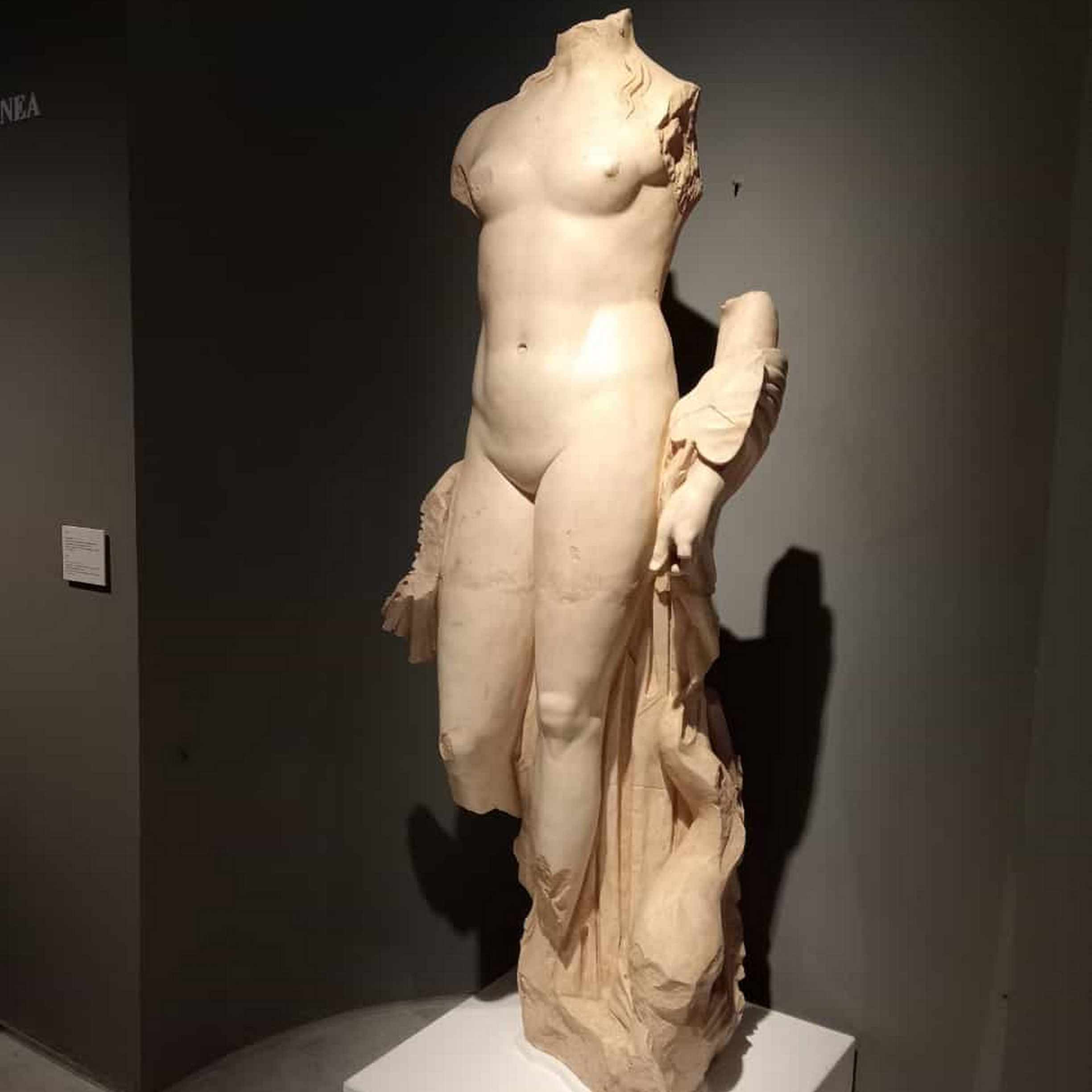 MUSEO