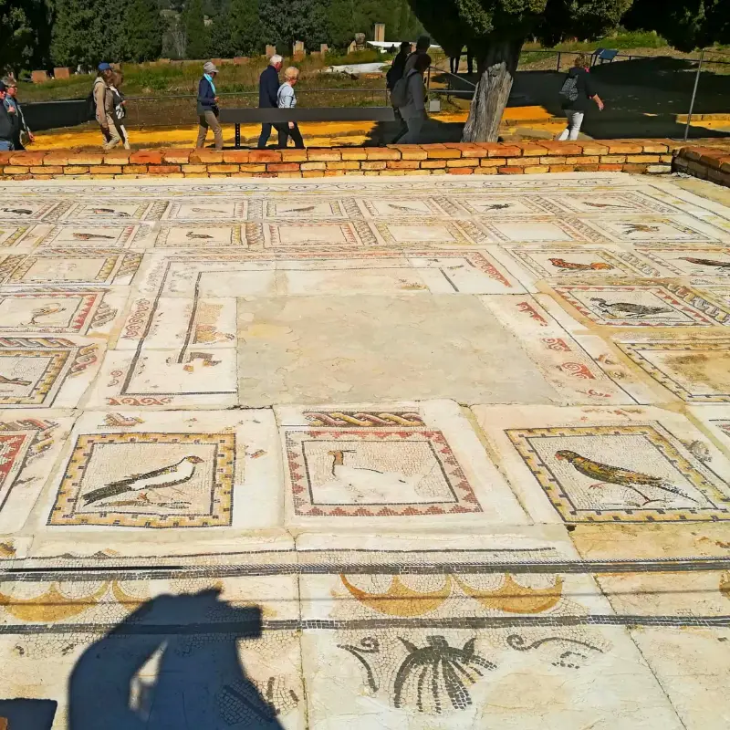 CASA DE LOS PÁJAROS