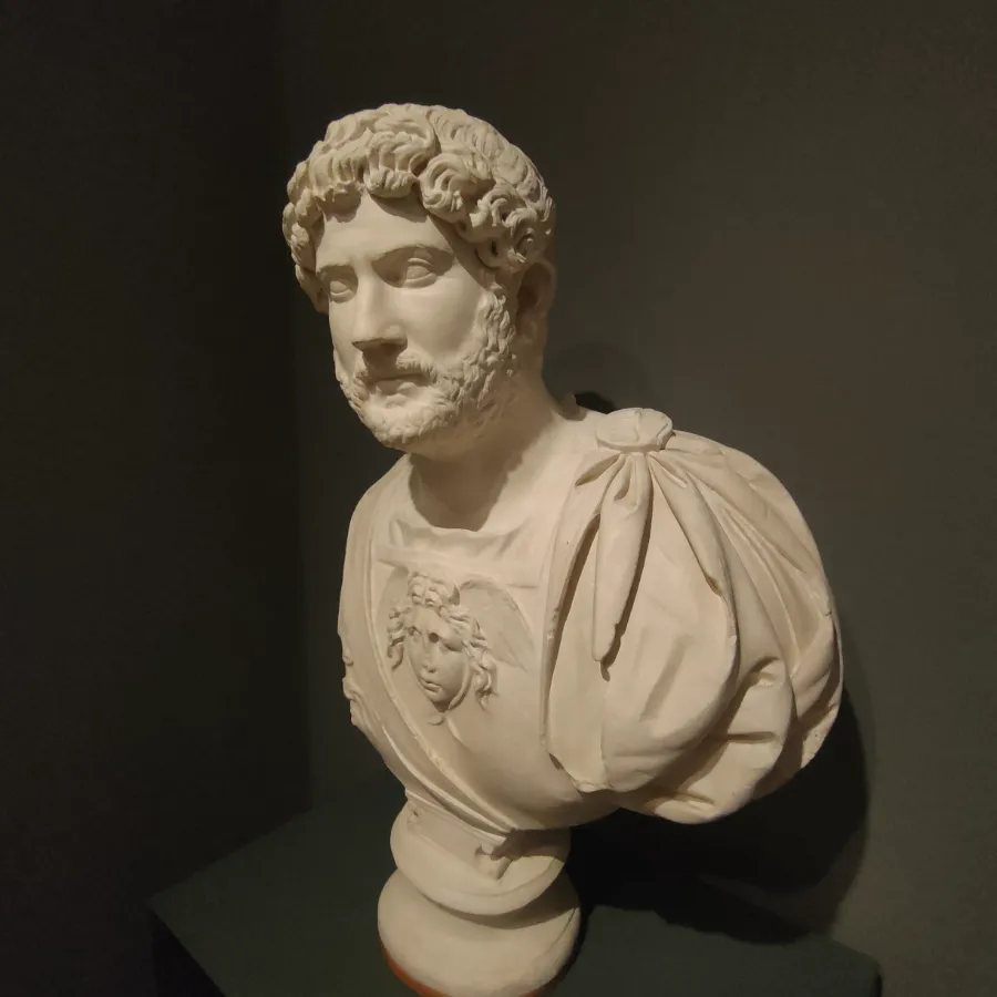 MUSEO