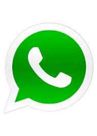 Whatsapp icon