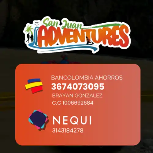 METODOS DE PAGO icon