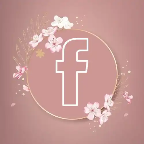 Facebook  icon