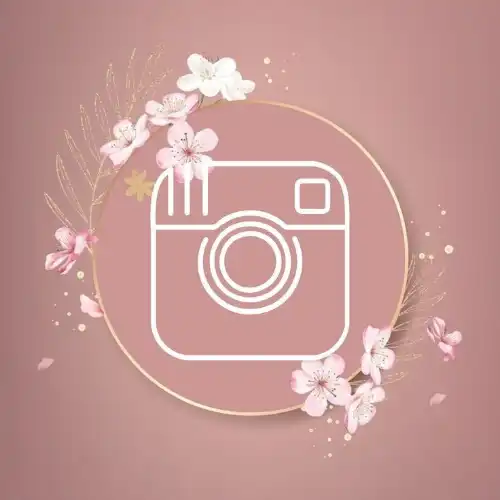 Instagram  icon
