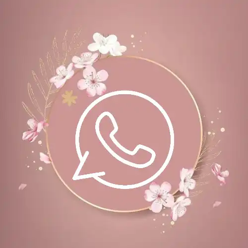 WhatsApp  icon