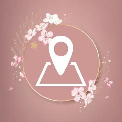 Ubicación  icon