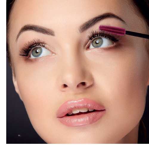 Catalogo Completo icon