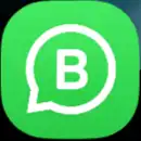 WhatsApp  icon
