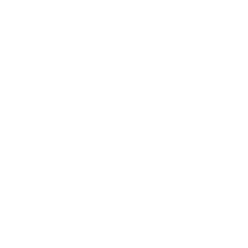 Visitar Página icon