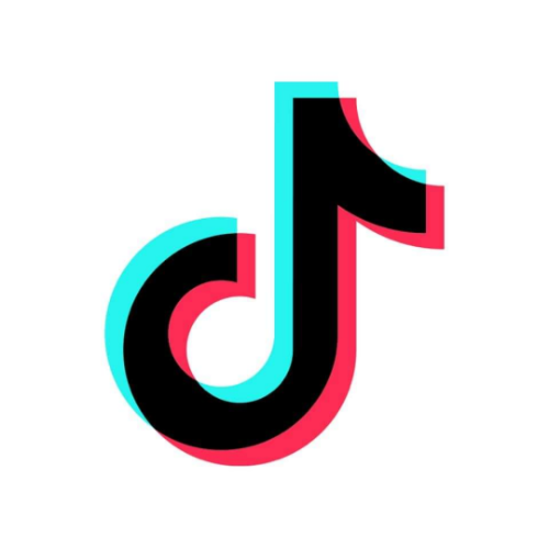 Tiktok icon