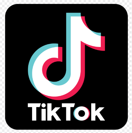 CANAL DE TIK TOK icon
