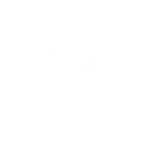 Trip Advisor icon