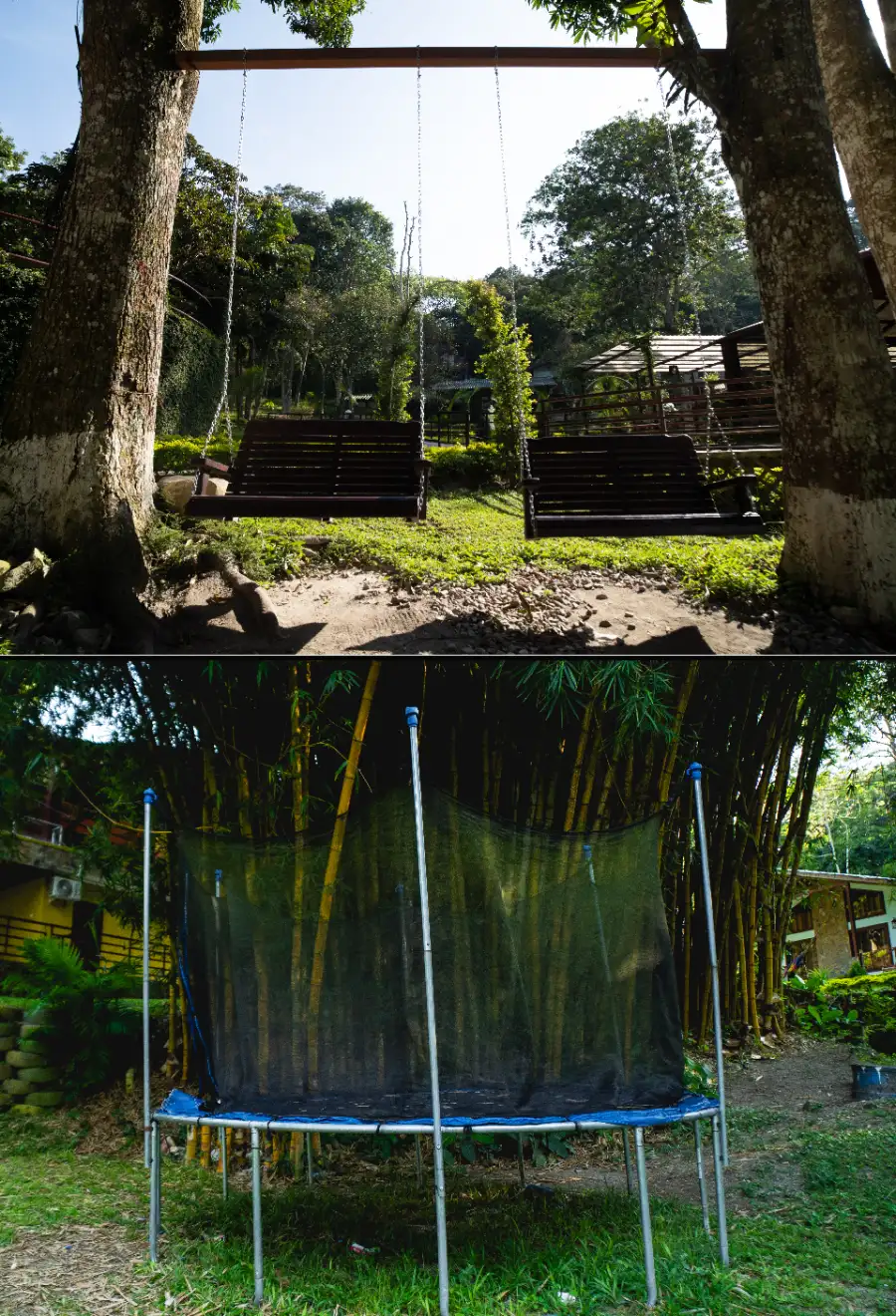 Pisicinas y Más Diversión