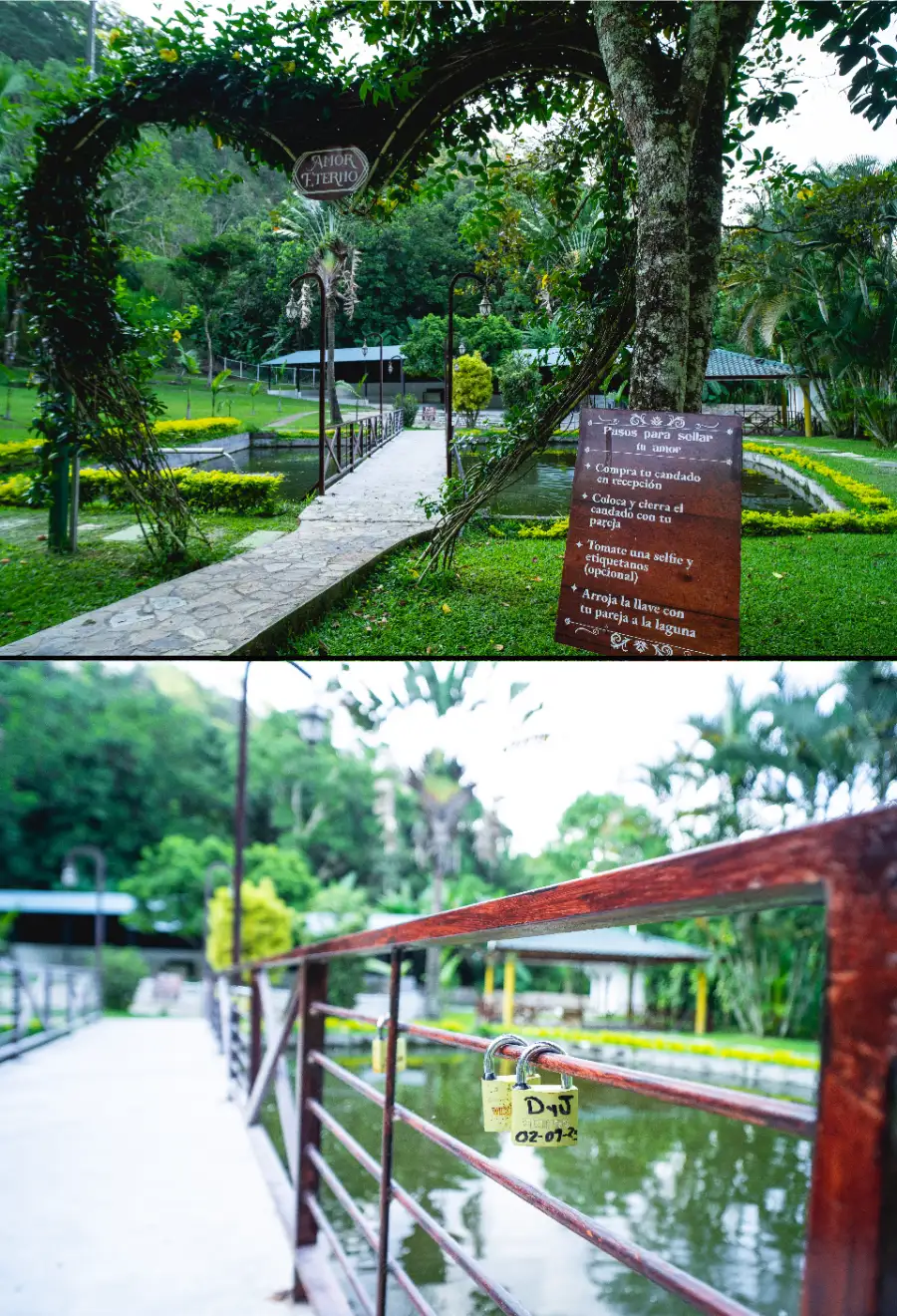 Pisicinas y Más Diversión