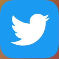 Twitter icon