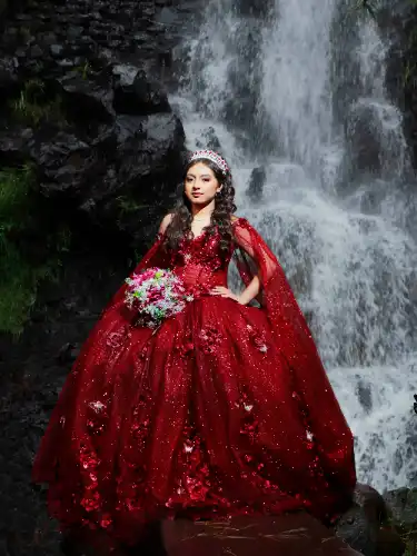 DEMOSTRACION DE EVENTO COMPLETO (XV AÑOS) icon