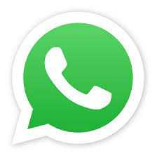 Whatsapp +591 69159504 icon
