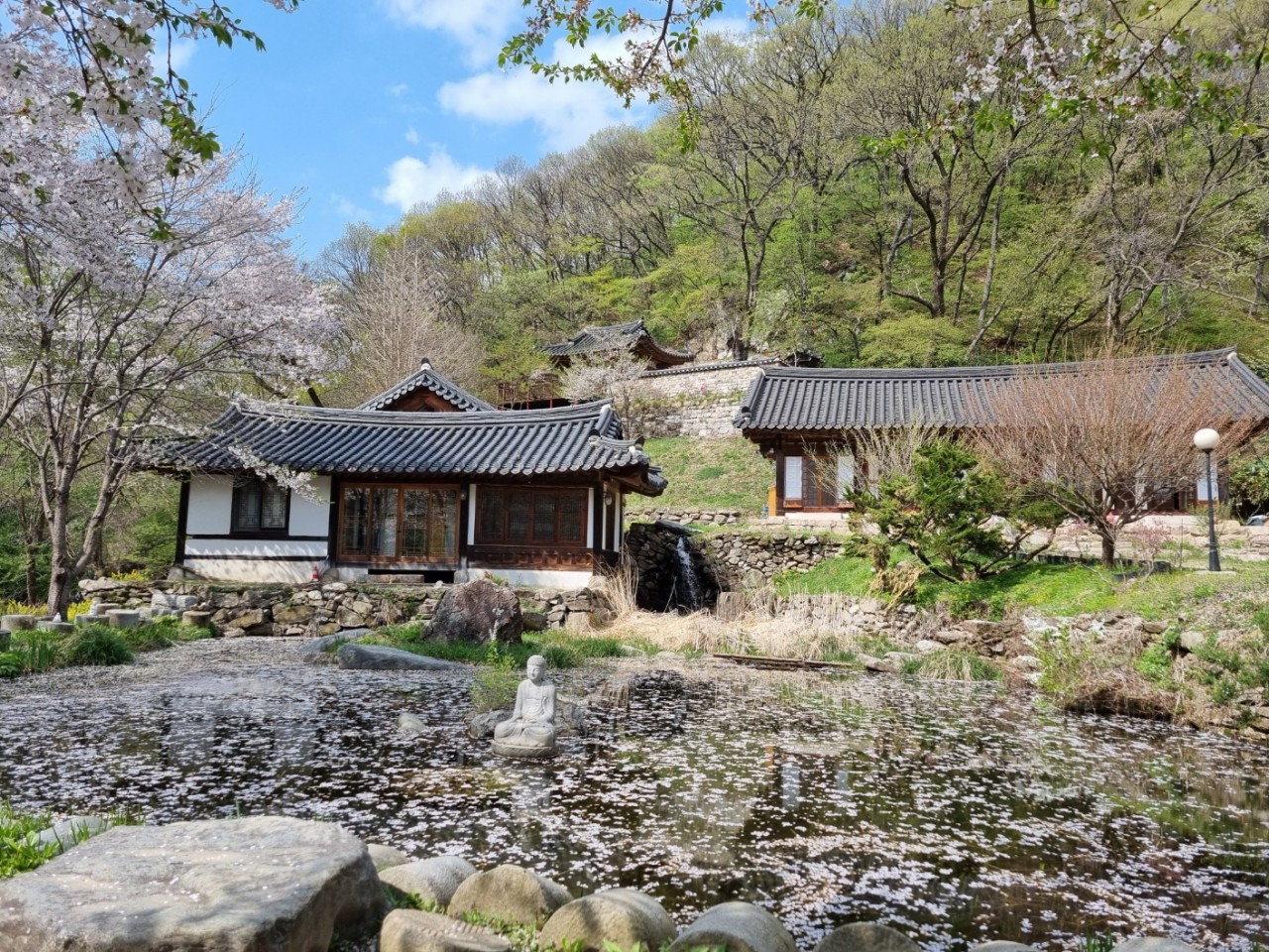 묘적사 전경