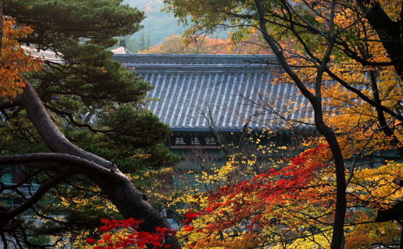 통도사 전경