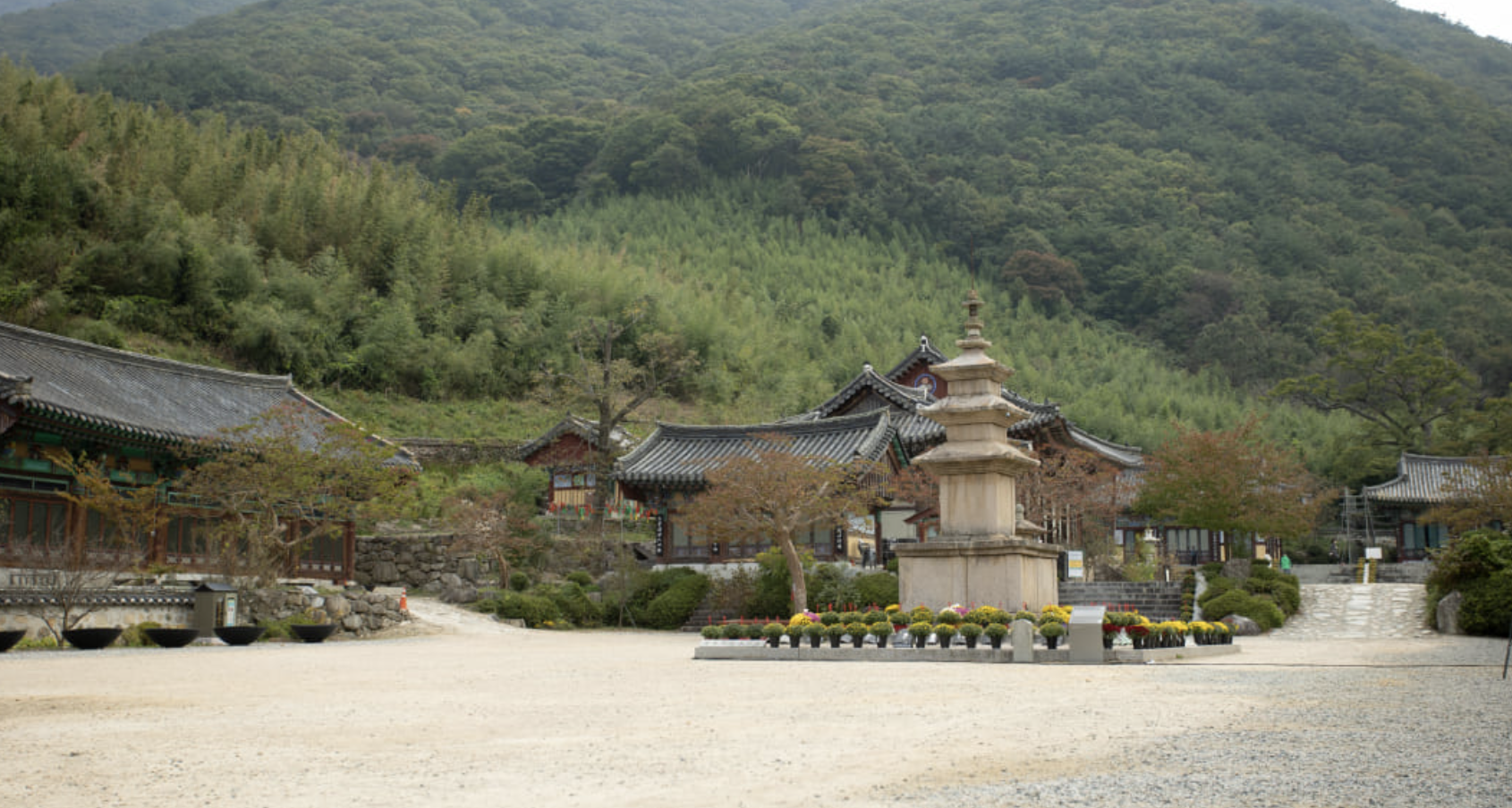 표충사 전경