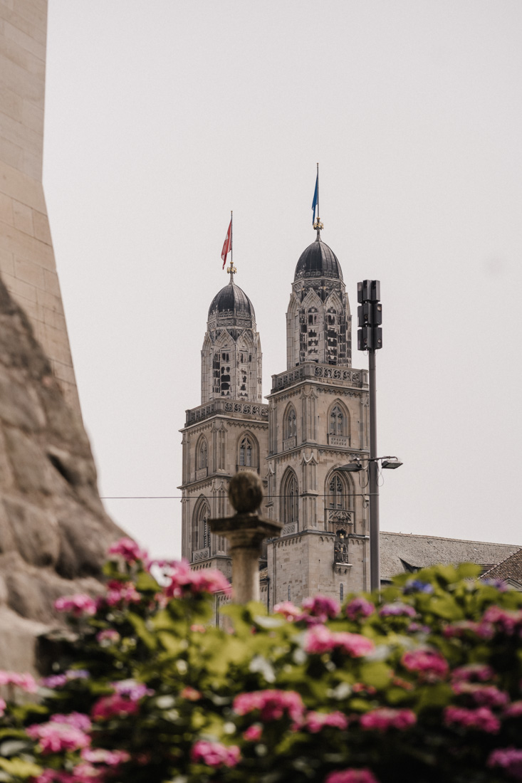 Zwei Türme mit Fahnen bei Grossmünster Kirche und rosa Hortensien