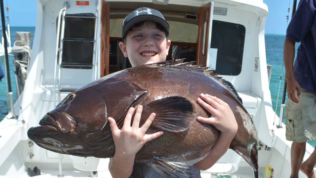 Cancun Fishing Guide For Beginners