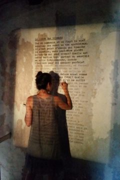Marion Renauld - Des murs aux livres aux murs