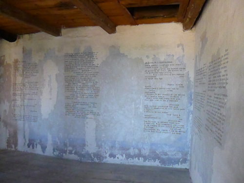 Marion Renauld - Des murs aux livres aux murs