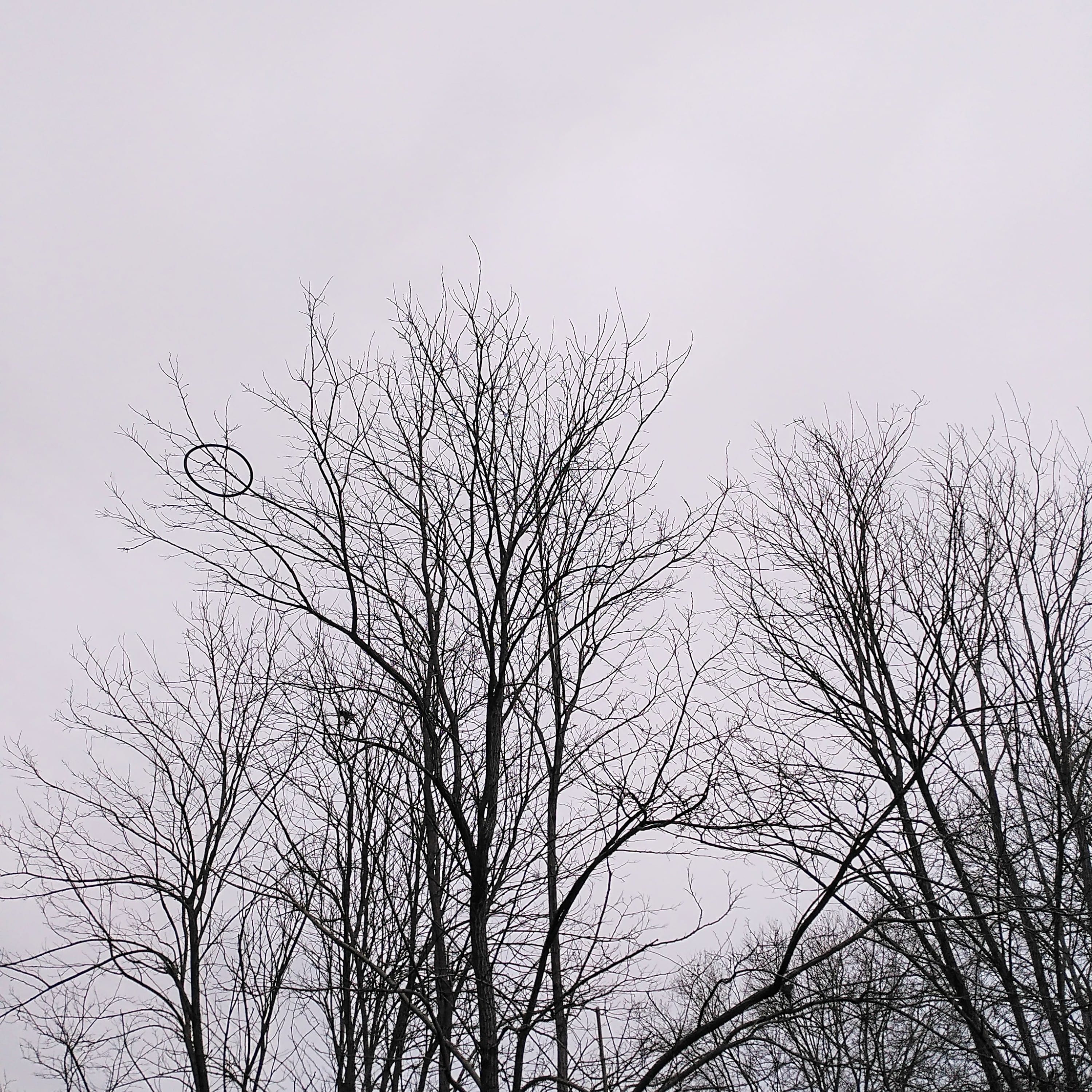 fragments 8-min.jpg