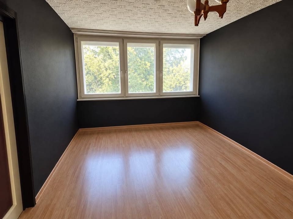Ground-floor 45 m² apartment with park views in Pesterzsébet, Budapest — photo 1 of 7