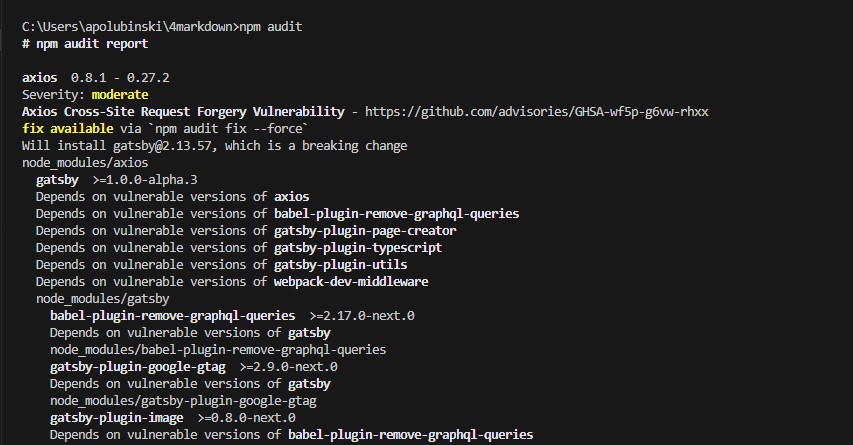 Vulnerabilities After Npm Audit