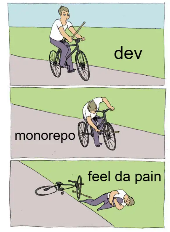 Typical dev after having first problems with monorepo