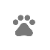 Other Pets & Animals