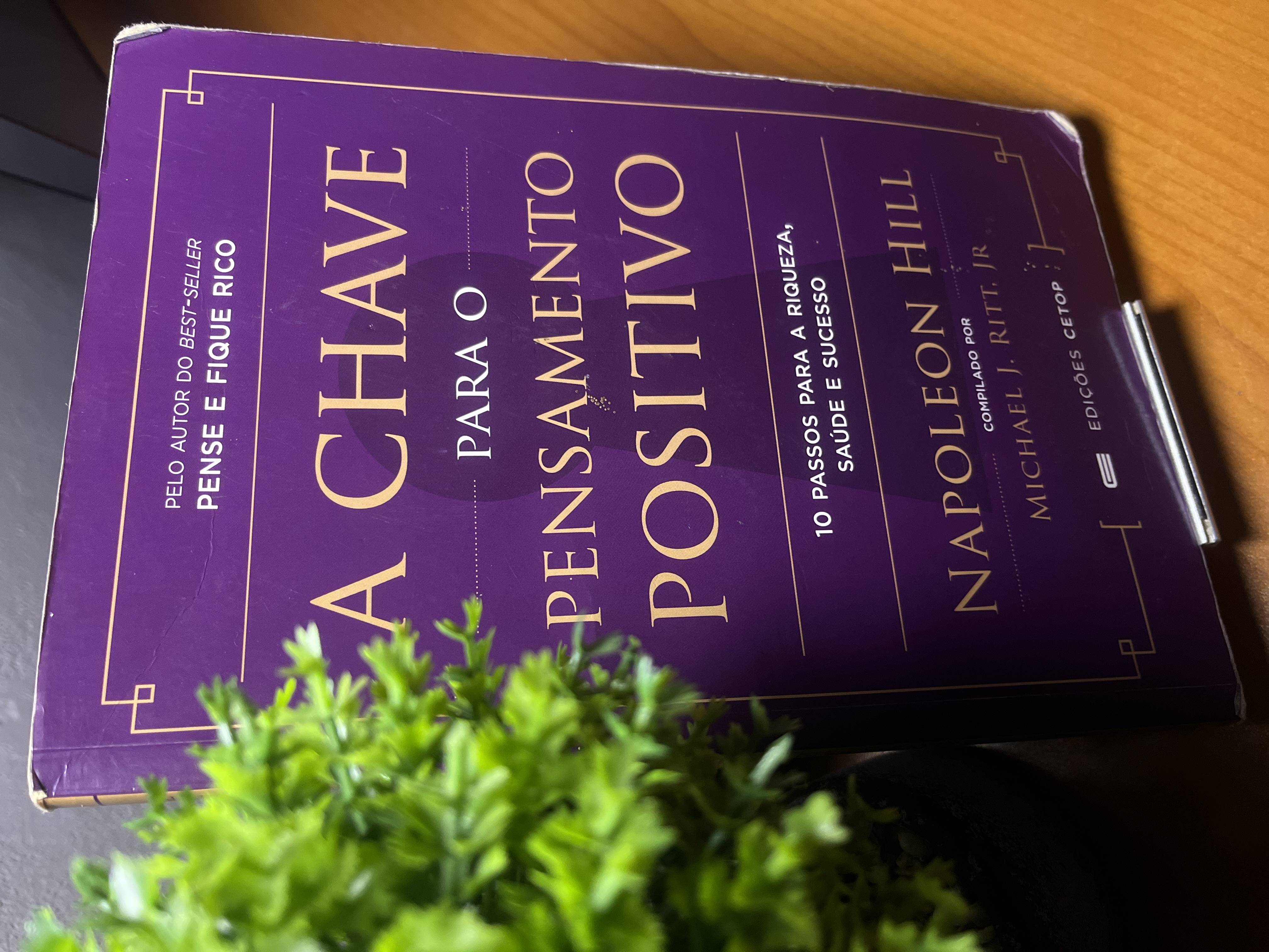 Imagem 2 do livro A chave para o pensamento Positivo