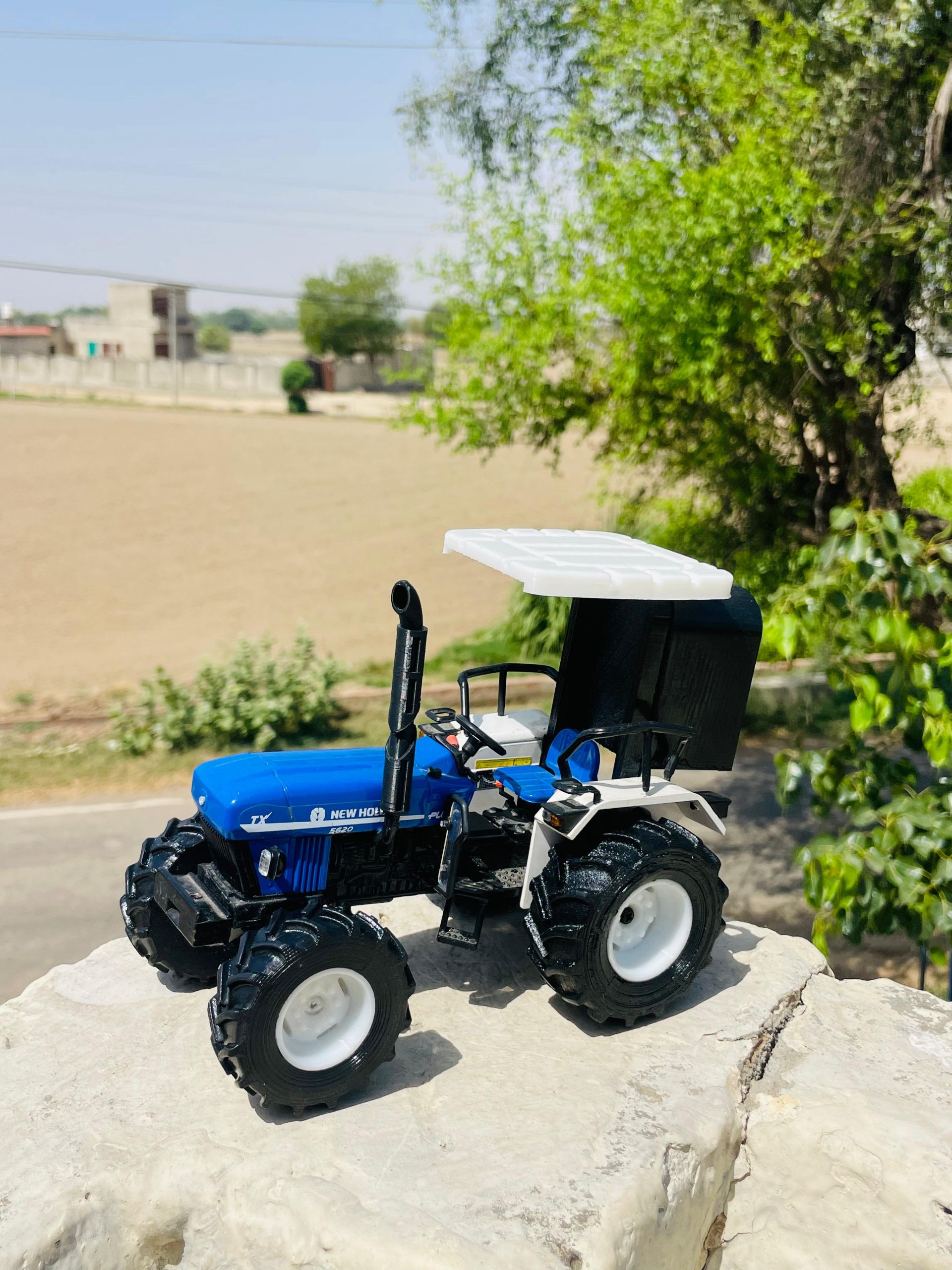 2026 - 4500.00 INR - Mandi dabwali - Marketplace