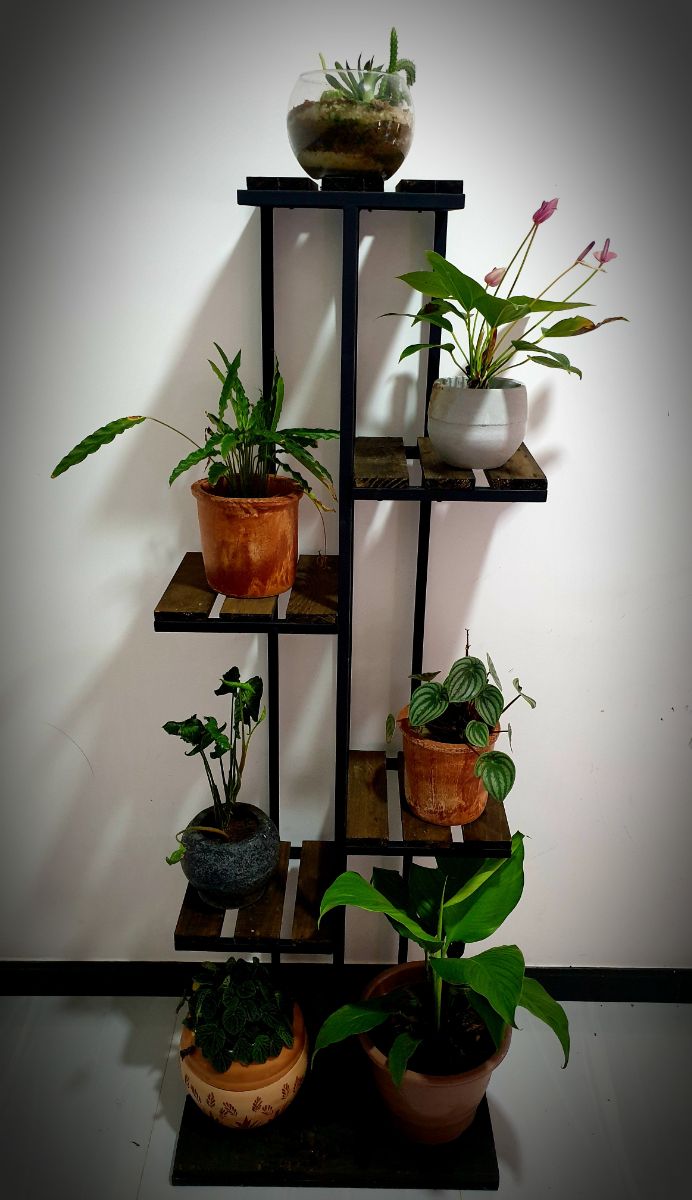 Woodern wall Arts