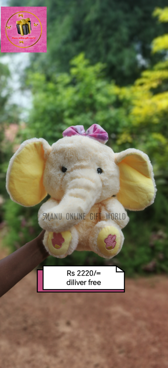 Cute elephant