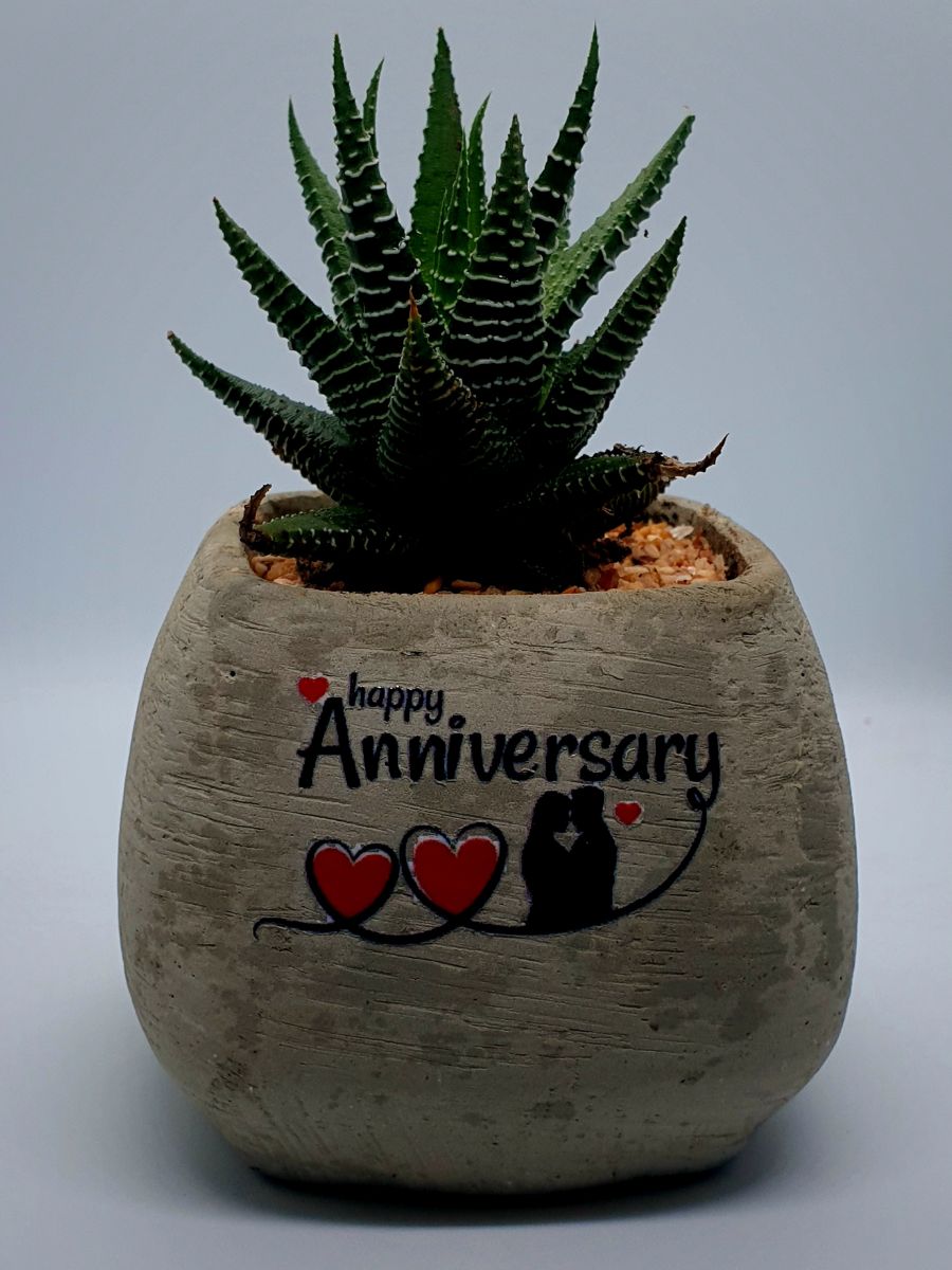 Printing Cactus pot, Cactus, woodern wall Arts, Home deco, wall deco, birth day gift, wedding gift, Anniversary gift