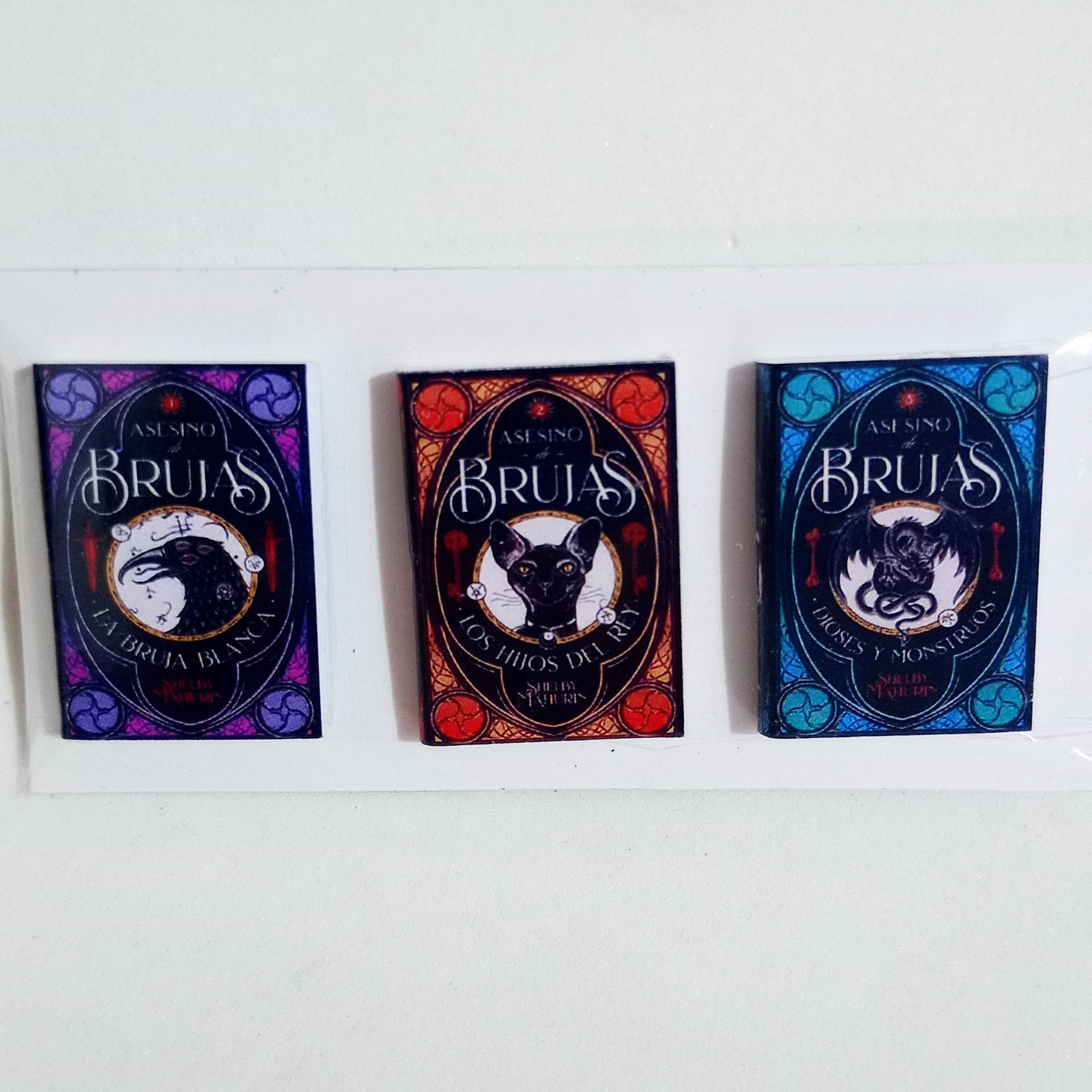 Imanes Mini Libros Asesino de Brujas x3