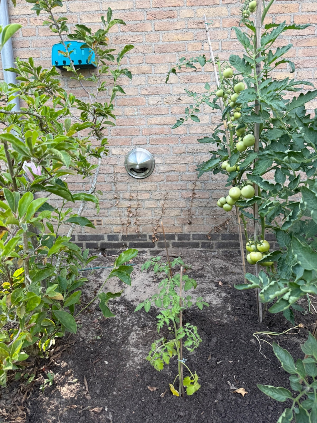 Werkvoorbeeld van Boorkoning