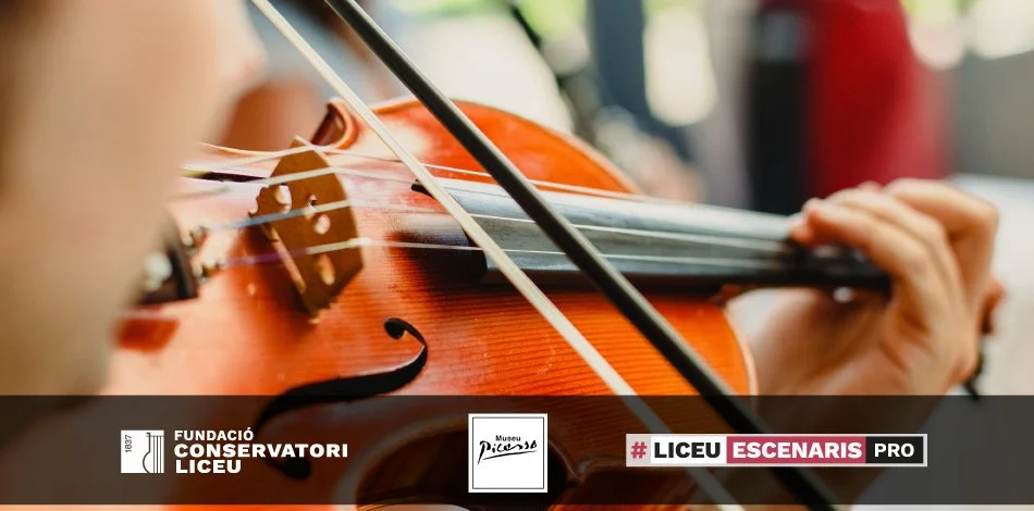 El mas de Quiquet - Musicant Picasso